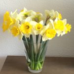 Narcis Big love in vaas